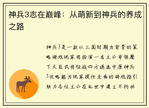神兵3志在巅峰：从萌新到神兵的养成之路