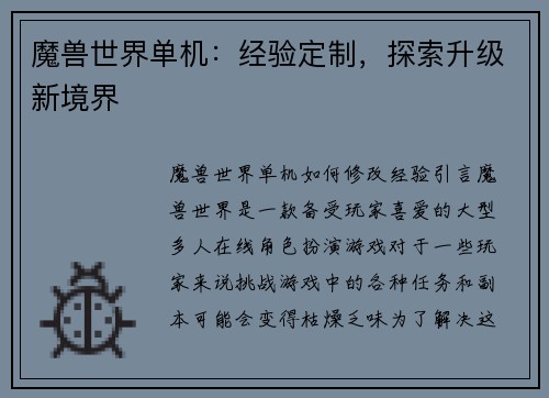 魔兽世界单机：经验定制，探索升级新境界